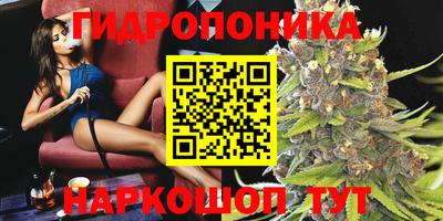 сатива Волжск