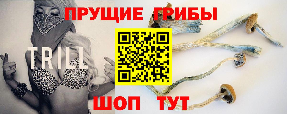Москва  Галлюциногенные грибы Psilocybine cubensis  Вход с VPN 
