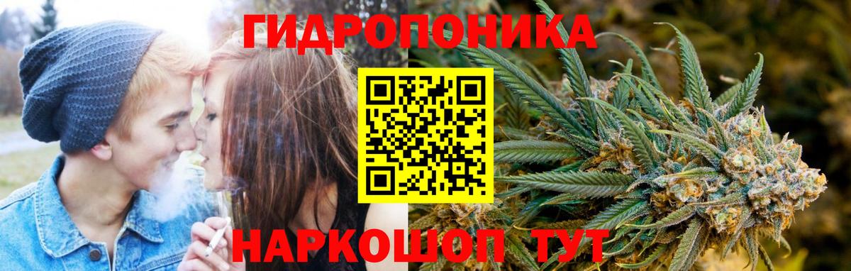Каннабис индика Москва